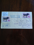 Registered Letter Cuba.argentina.1994.the Cow.milk Cow.yv 1339*2.cv 8e.e8 Reg Post Conmems UP To 2p.3+ E14. - Koeien