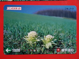 T-175 - JAPAN -JAPON, NIPON, Carte Prepayee - Flower, Fleur - Japon