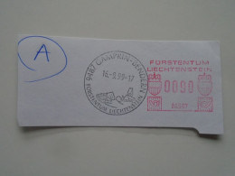 D200439    Red  Meter Stamp Cut- EMA - Freistempel  -1999  Liechtenstein  -9487 Gamprin-Bendern - Franking Machines (EMA)