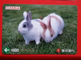 T-179 - JAPAN -JAPON, NIPON, Carte Prepayee -  Rabbit. Lapin - Conigli