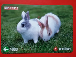 T-180 - JAPAN -JAPON, NIPON, Carte Prepayee -  Rabbit. Lapin - Rabbits