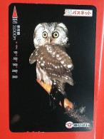 T-181 - JAPAN -JAPON, NIPON, Carte Prepayee - Bird, Oiseau, Owl, Hibou - Uilen