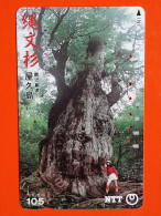 T-193 - JAPAN -JAPON, NIPON, TELECARD, PHONECARD NTT JP- 390-244 - Japon