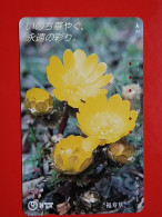 T-195 - JAPAN -JAPON, NIPON, TELECARD, PHONECARD, Flower, Fleur,  NTT JP- 331-472 - Giappone