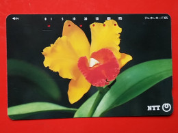 T-195 - JAPAN -JAPON, NIPON, TELECARD, PHONECARD, Flower, Fleur,  NTT JP- 111-085 - Giappone