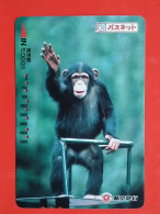 T-204 - JAPAN -JAPON, NIPON, Carte Prepayee  ANIMAL, MONKEY - Dschungel