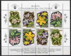 Bulgaria 2006 - Flora: Plants Of Strandja Mountain - M/s Of 2 Sets Of 4 Stamps MNH - Unused Stamps