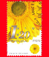 ISRAELE - Usato - 2001 - Fiori Recisi - Gerbera - 1.20 - Usati (senza Tab)