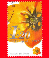 ISRAELE - Usato - 2001 - Fiori Recisi - Ornitogalo - 1.20 - Gebruikt (zonder Tabs)