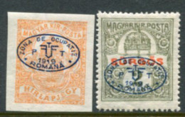 DEBRECEN 1919  Newspaper And Express With Blue Overprint LHM / *   Michel 4-5 - Debreczen