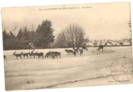 Chateauvillain.parc De Chateauvillain .  Les Daims - Chateauvillain