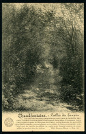 CPA - Carte Postale - Belgique - Chaudfontaine - L'Allée Des Soupirs (CP24060) - Chaudfontaine