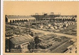 CARRIERES DE SCOUFFLENY  ECAUSSINNES  VUE GENERALE DES SCIERIES ET CHANTIERS - Ecaussinnes