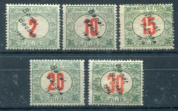 BANAT BACSKA 1919 Overprint On Postage Due MH / *.  Michel Porto 2-6 - Banat-Bacska