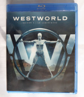 WESTWORLD - SAISON 1 - FORMAT BLU-RAY - 3 DISQUES - Autres Formats