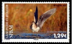 SP&M/St Pierre Et Miquelon 2024 FAUNA Animals BIRD - Fine Stamp MNH - Nuovi