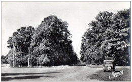 28 - CHATEAUNEUF - Le Calvaire - Châteauneuf