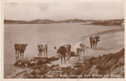 THE SILVER SANDS OF MORAY - Inverness-shire