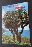 Souvenir De Canarias - Distr. Por Euroafricana De Canarias, Tenerife - # GE 24 - Andere & Zonder Classificatie