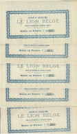 - Lot De 5 Titres De 1873 - Société Anonyme - Le Lion Belge - Service De Navigation De L'Intérieur à  Anvers - Rare - Scheepsverkeer