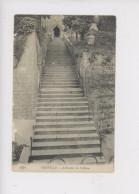 Le Havre-Graville - Escalier De L'Abbaye  (cp Vierge ELD) - Graville