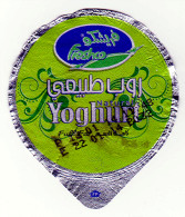 Opercule De Yoghurt "Freshco" En Provenance Des Emirats Arabes Unis _ef42 - Milchdeckel - Kaffeerahmdeckel