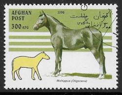 Yvert 1513 - 300 Afg Miohippus (Oligocène) - Oblitéré - Afghanistan