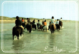 N4 - Regard Sur Le Littoral De La Manche Et De La Mer Du Nord Equitation Sur La Plage - Chevaux