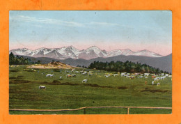 Les Pyrénées - Les Paturages En Haute Montagne - Midi-Pyrénées