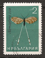 Bulgarie Bulgaria 1964 N° 1248 Iso O Animal, Insecte, Nemoptera Coa, Chrysope, Grèce, Papillon - Usati