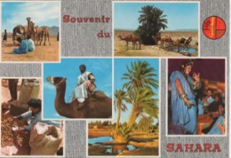 SAHARA, MULTIVUE, HOMMES BLEUS AU MARCHE DES CHAMEAUX, CHAMEAUX A L OASIS, MARCHAND DE DATTES COULEUR REF 13976 CHE - Westsahara