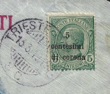 Occupazioni Trento E Trieste Il 5 Cent. Usato Su Frammento - Trente & Trieste