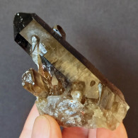 #17 - SPLENDIDO QUARZO MORIONE Cristalli (Kara-Oba W Deposit, Moiynkum, Jambyl Region, Kazakhstan) - Minerales