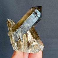 #21 - SPLENDIDO QUARZO MORIONE Cristalli (Kara-Oba W Deposit, Moiynkum, Jambyl Region, Kazakhstan) - Minerales