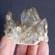 #22 - SPLENDIDO QUARZO MORIONE Cristalli (Kara-Oba W Deposit, Moiynkum, Jambyl Region, Kazakhstan) - Minerals