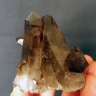 #30 - Beaux Cristaux De QUARTZ MORIONE (Kara-Oba W Deposit, Moiynkum, Jambyl Region, Kazakhstan) - Minéraux