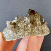 #31 - Beaux Cristaux De QUARTZ MORIONE (Kara-Oba W Deposit, Moiynkum, Jambyl Region, Kazakhstan) - Minerali