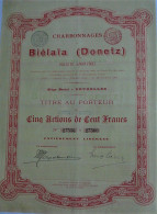 S.A. Charbonnages De Biélaïa (Donetz) -5act.de 100 Fr-titre Au Porteur - Rusia