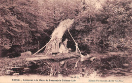 Baugé         49        Laveuses à La Mare Du Bosquet De Château Loin  (voir Scan) - Other & Unclassified