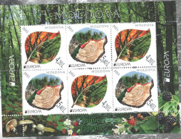 Europa CEPT 2011 Moldavia Moldova BF Da Libretto/S/S From Booklet **/MNH VF - 2011