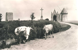 Les Herbiers Le Mont Des Alouettes - Les Herbiers