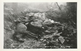 White Pass Trail - July, 1898, Yukon - Yukon