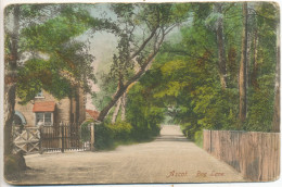 Ascot, Bog Lane, 1905 Postcard - Buckinghamshire