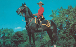 The Royal Canadian Mounted Police In Canada - Cavallo - Formato Piccolo Viaggiata Mancante Di Affrancatura – FE170 - Toronto