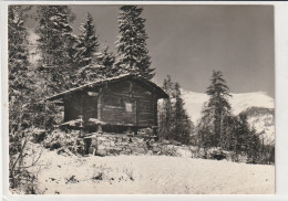 STADEL FERIENDORF FIESCH - Fiesch