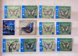 Belgium 2013 The 3 Kings Wisemen Butterflies - Used Stamps