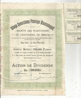 Action De DIVIDENDE , Siboga Caoutchouc Plantage Maatschappij, La Haye , Pays Bas,1910 , Frais Fr 1.95 E - Other & Unclassified