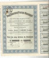 Titre De Cinq Actions , Siboga Caoutchouc Plantage Maatschappij, La Haye , Pays Bas,1931 , Frais Fr 1.95 E - Other & Unclassified