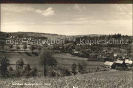 42268650 Brunn Auerbach Panorama Waldbad Brunn Auerbach - Auerbach (Vogtland)