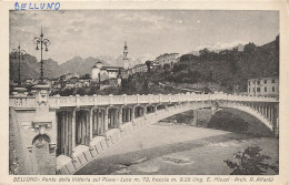 ITALIE - Belluno - Ponte Della Vittoria Sul Piave - Carte Postale Ancienne - Belluno
